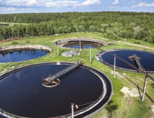 Eco-Friendly Water Treatment Works Best With Experienced Bacterial Flora