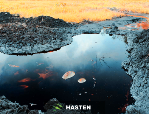 Hydrocarbon Remediation